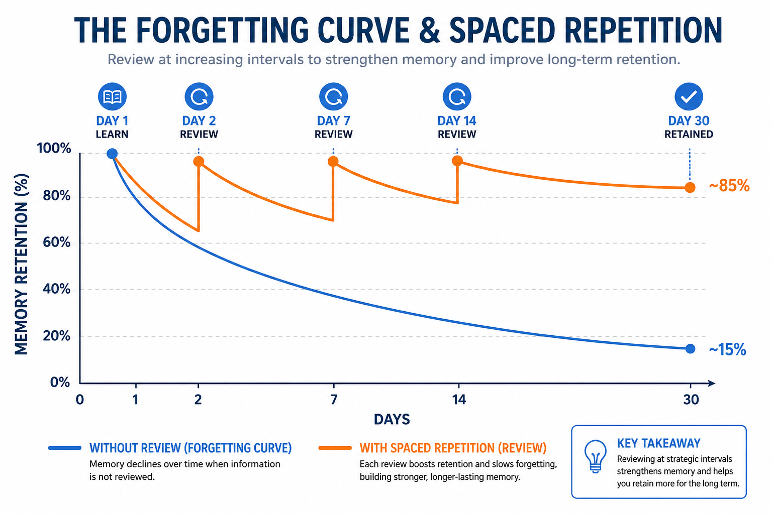 Forgetting curve graph showing memory retention dropping without review, and spaced review sessions maintaining high retention over 30 days